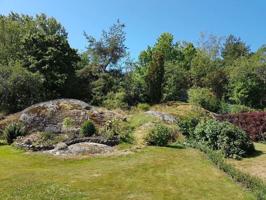 36578403_1907293635989370_6431969454271234048_n