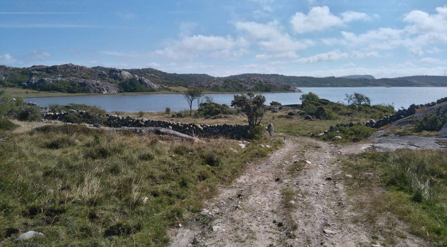 37626324_10216340243120764_8771106341293916160_n