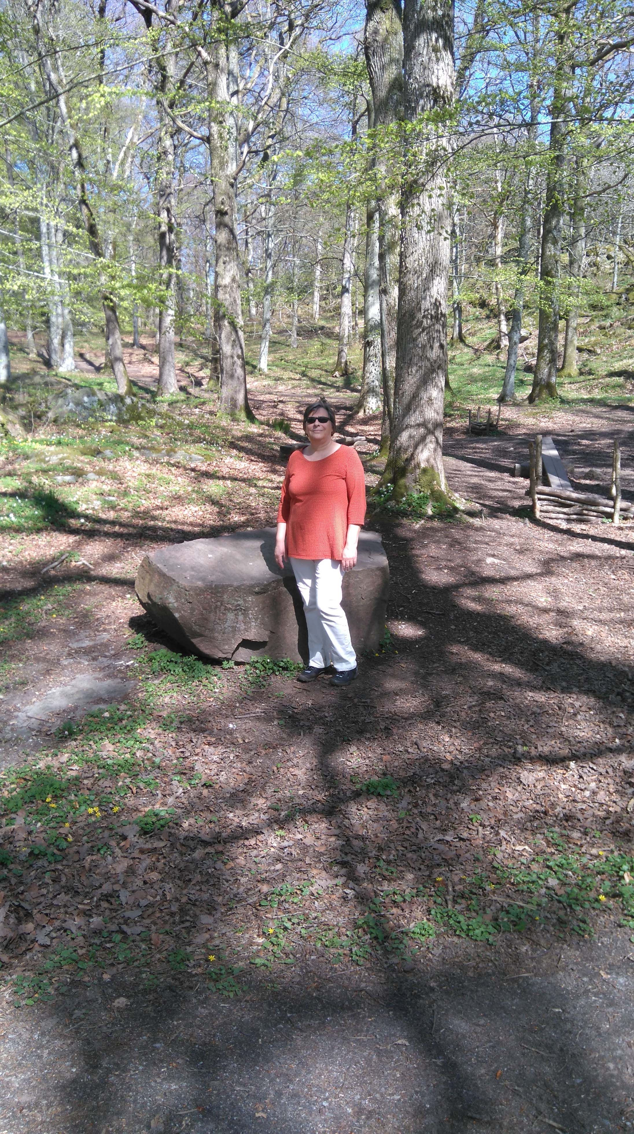 45381822_327020937877282_8629586924077580288_n