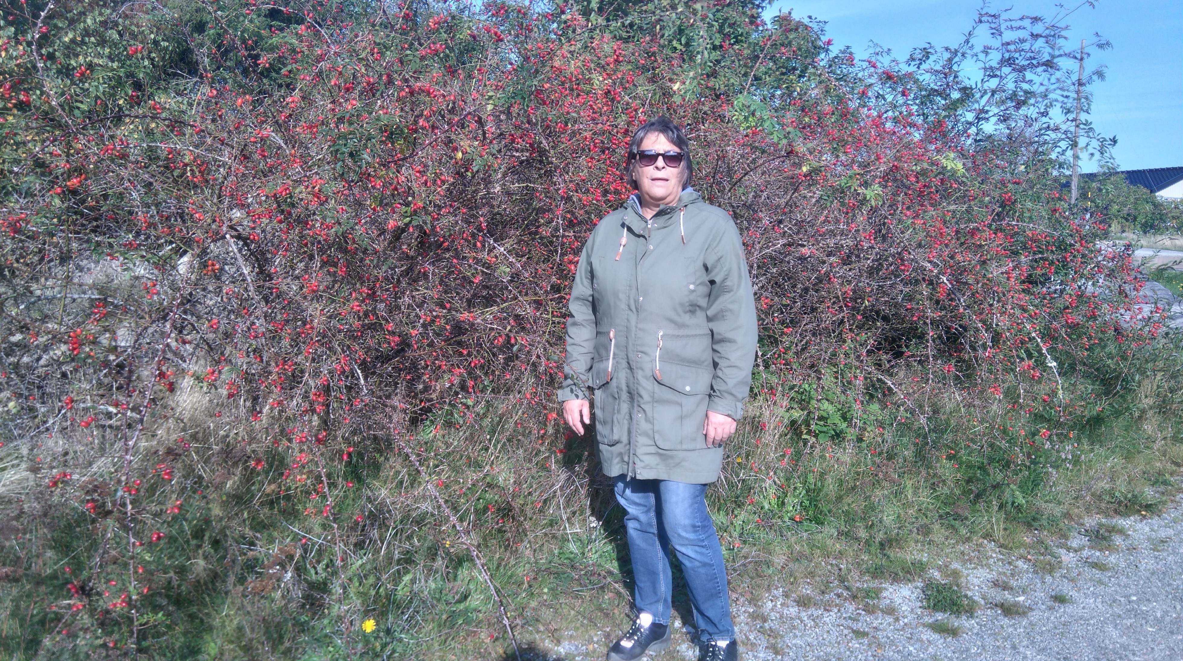 45405028_785026405180160_4673496649425747968_n