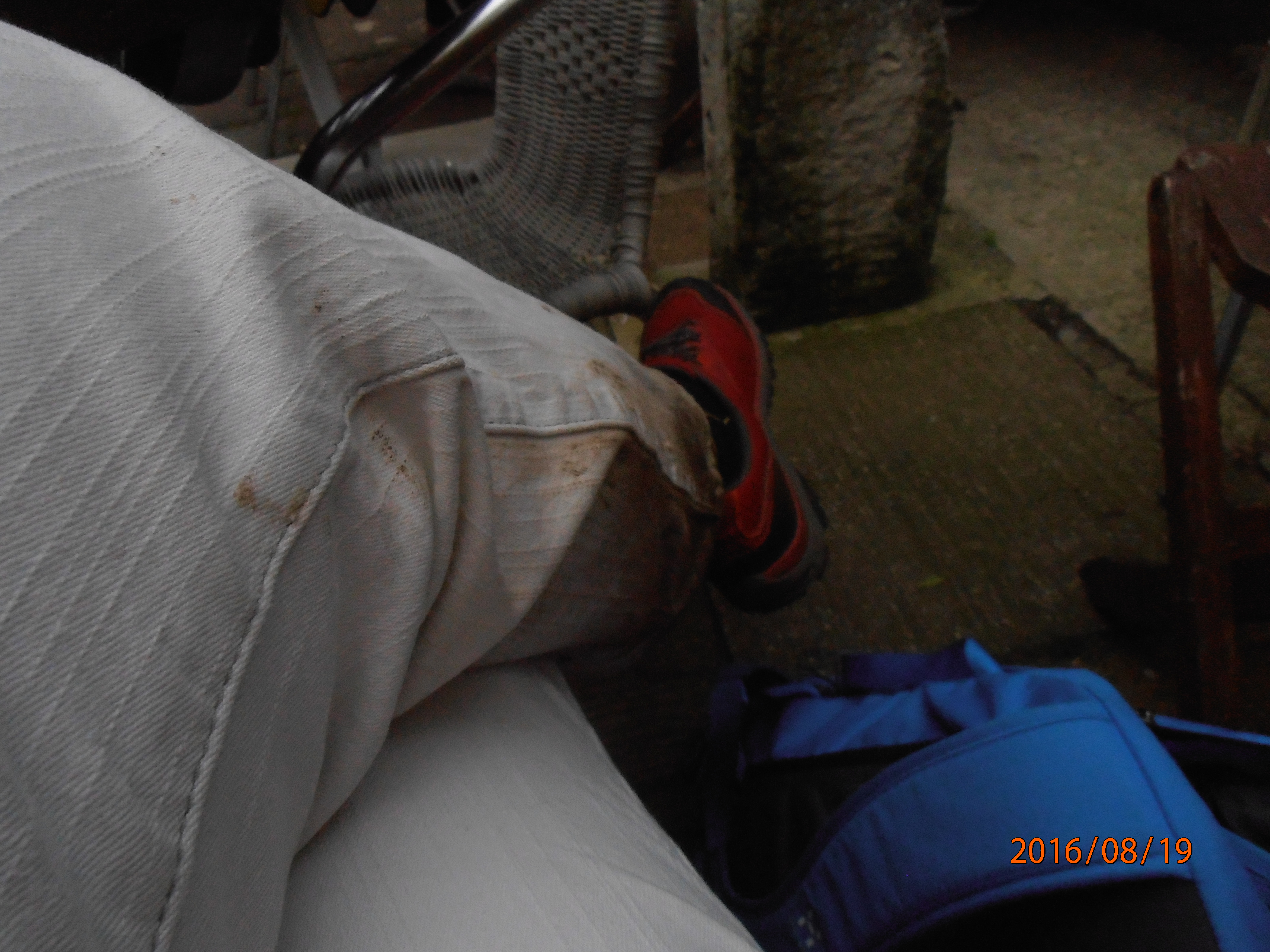 OLYMPUS DIGITAL CAMERA