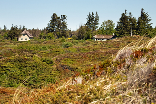 Denna bild har ett alt-attribut som är tomt. Dess filnamn är image-12.png